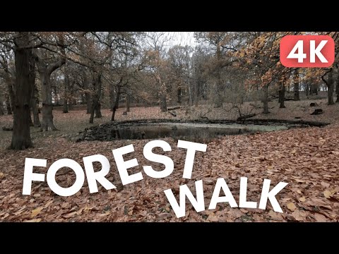 4K 🌧️ Light Rain Walk Through London's Iconic Park 🎧 ASMR Relax, Sleep, Study and Focus