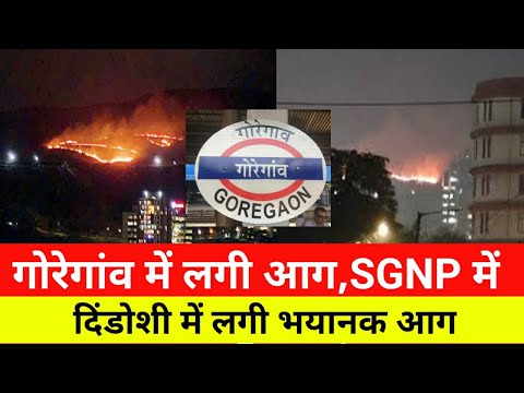 मुंबई गिरगांव दिंडोशी में लगी आग|Mumbai goregaon Fire news |Today Mumbai Live news|Local Train News