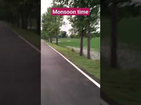 Rainy season//monsoon season #nature #trendingshorts #shortsviral #shortsvideo #beautiful #trending