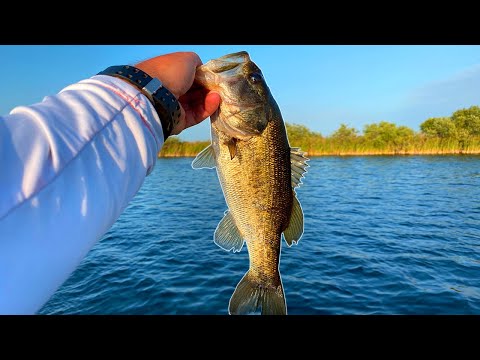 Social Distancing The RIGHT Way - Drop Shot Fishing for Bass