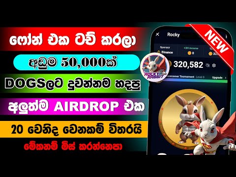 Rabit coin airdrop sinhala | new airdrop | rocky rabbit listing date | rocky rabbit airdrop sinhala