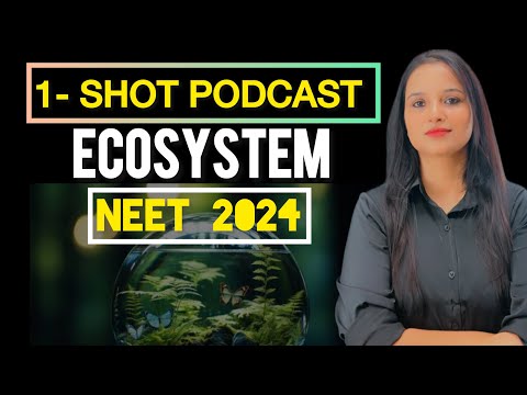 Ecosystem in 10 Mins | Quick Revision Podcast #neet #ncertbiology #neet2024