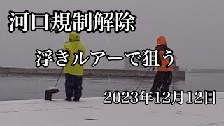 【北海道鮭釣り】オホーツク海でプレミアムサーモンを求めてルアー釣り 河口規制解禁翌日!!!嫁は鮭釣り病！？そういうあなたも……！？