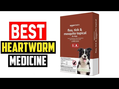 ✅Top 5 Best Heartworm Medicine for Dogs in 2024