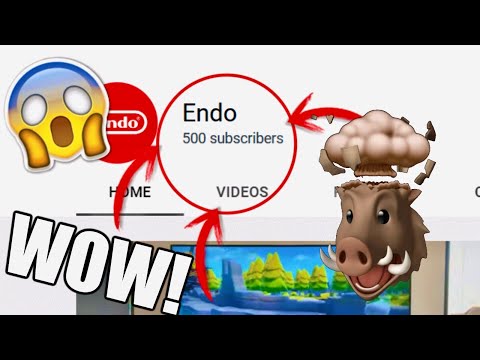 The History of Endo (500 Sub Special)