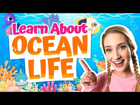 🔴 Learning Ocean Animal Life - Nursery Rhymes & Kids Songs - Sarah Sunshine