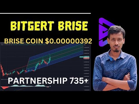 BRISE Best Coin 2025 | Bitgert Partnership 735+ | BRISE $0.00000392 | Binance Listing