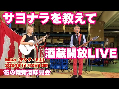 サヨナラを教えて　 Japanese Sake  酒蔵開放LIVE    花の舞新酒味見会　  Mika（アシダ・ミカ）　2024年11月2日10時