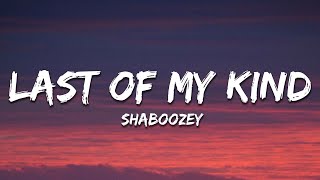 Shaboozey - Last Of My Kind (Lyrics) ft. Paul Cauthen