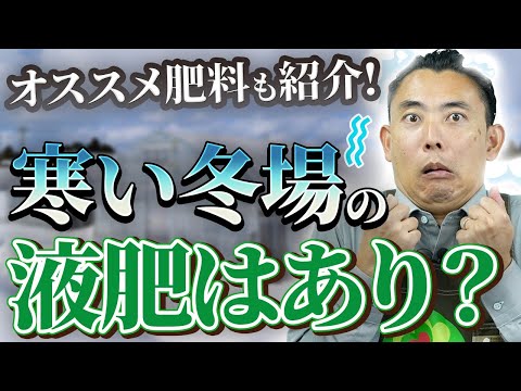 【園芸の基本】寒い冬に液肥は与えても大丈夫？⛄️〜オススメの肥料も合わせてご紹介します！🔥【ハイポネックス】