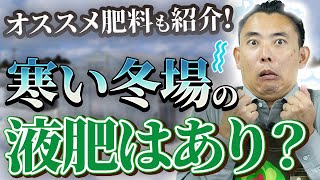 【園芸の基本】寒い冬に液肥は与えても大丈夫？⛄️〜オススメの肥料も合わせてご紹介します！🔥【ハイポネックス】