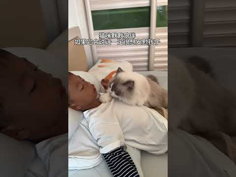 嘴磕破了牙摔裂了，猫咪似乎知道跑去蹭孩子，它一定想安慰他 #猫和孩子