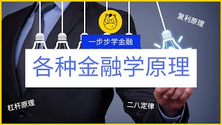 【一步步学金融】第二课 || 各种金融学原理 Financial Theories Part 1