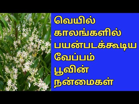 வேப்பம் பூவின் பயன்கள்||Veppam poovin payankal in tamil