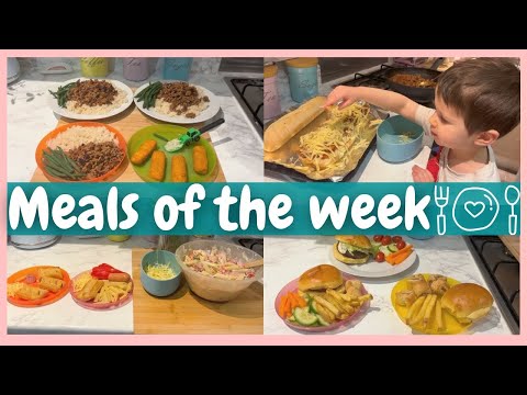 MEALS OF THE WEEK | EASY DINNER IDEAS UK