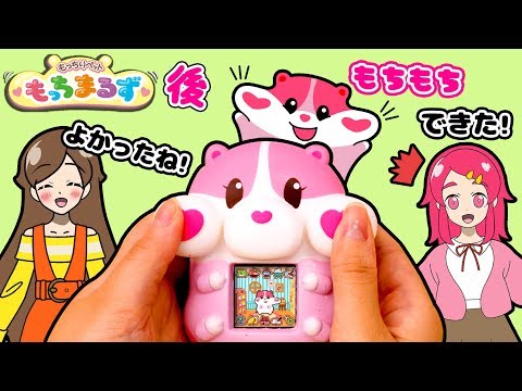 【もっちまるず！】後編！ついにモッチモチに！？かわいいスクイーズハムスターを飼ってみた！ゲーム実況 ❤️アンリルちゃんねる❤️アニメ