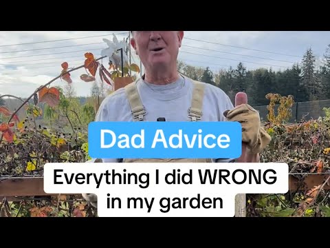 Everything I did WRONG in my gardens - Year 2