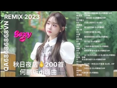 REMIX 2023 秋日夜店200首何鹏版dj嗨曲