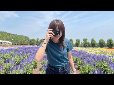 【夏季薰衣草之旅♥】富良野、美瑛觀光周遊巴士團 | 富田農場 & 四季彩之丘 & 羊駝牧場 & 白金青池 & 白鬚瀑布