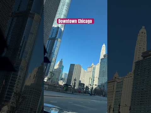 #chicago #minivlog #dailyvlog Family traveller Tamil Vlogs America #shortvideo #shortsfeed #shorts