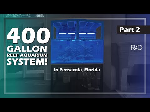 400 GALLON REEF AQUARIUM SYSTEM DESIGN AND INSTALLATION IN PENSACOLA (Part 2) | REEF AQUARIA DESIGN