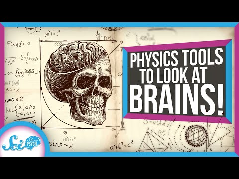 3 Ways Physics Can Help Us Understand the Brain