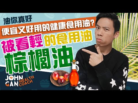 棕櫚油健康嗎？棕櫚油比這些油更好？(棕櫚油#1)《油你真好#13》Is palm oil healthy? Better than these vegetable oils?