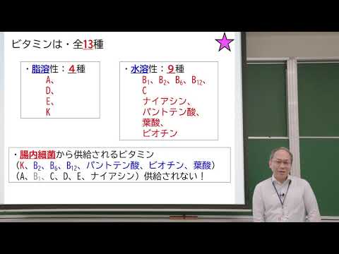 岩手医科大学／WebOC／薬学部／身体に必須の栄養素ビタミンについて