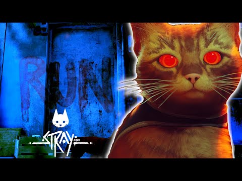 The TERRIFYING Backstory of Stray Explained