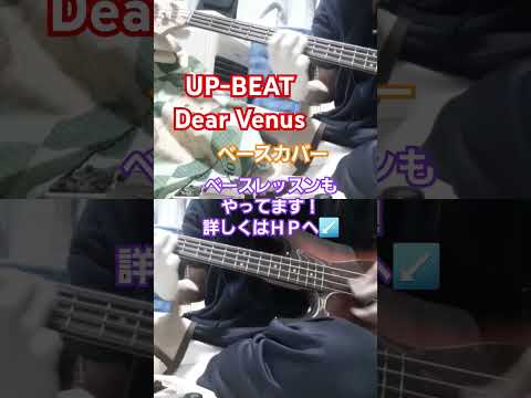 【UP-BEAT】Dear Venus　ベースカバー　#upbeat #dearvenus