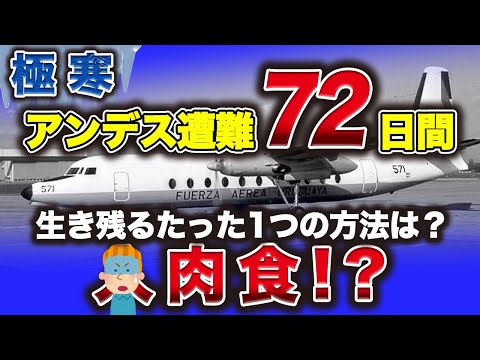 【ウルグアイ空軍機571便遭難事故】極限の選択!!食料は人間だけ⁉飛行機墜落⤵極寒のアンデス山中に72日間💦究極のサバイバル