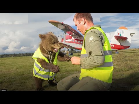 When a Pilot Found A UNEXPECTED Friend For Life In his Cockpit