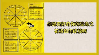 8个维度——规划你2025年生命之花的绽放（生命平衡轮）【个人成长思维系列】