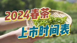 毛峰龙井猴魁瓜片翠兰红茶，2024年新茶上市时间表，看完就懂了