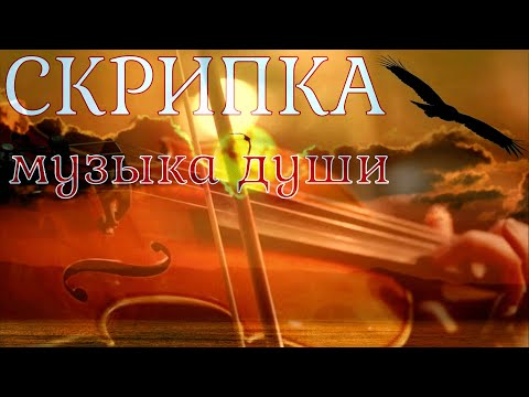 Скрипка 🎻 красивая музыка души.The violin is a very beautiful soul music