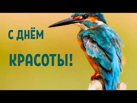 САМОЕ КРАСИВОЕ ПОЗДРАВЛЕНИЕ С ДНЕМ КРАСОТЫ