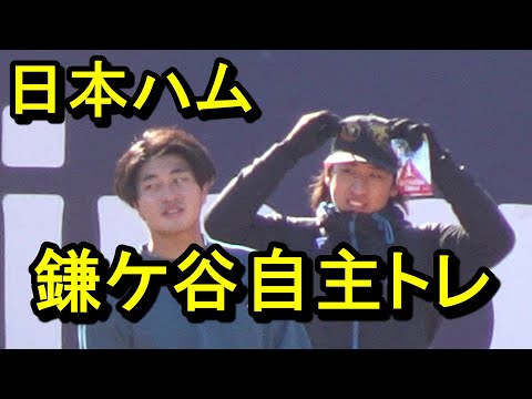 日本ハム鎌ケ谷自主トレ細野晴希躍動2024.12.8