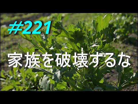 【日本の危機】いろいろとバレまくってきましたね　2024/11/26