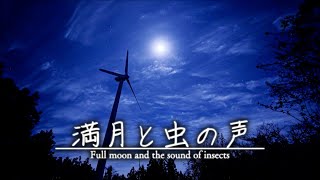 【安眠用BGM】満月と虫の音