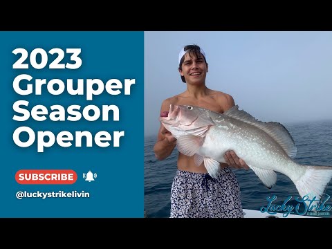 2023 Grouper Season Opener! Lucky Strike Fishing Charter