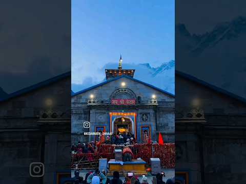 kedranath terding reels (#mahadev #terding #kedarnath #kedarnath #terding #shrots #shrots 🌷💕🙏