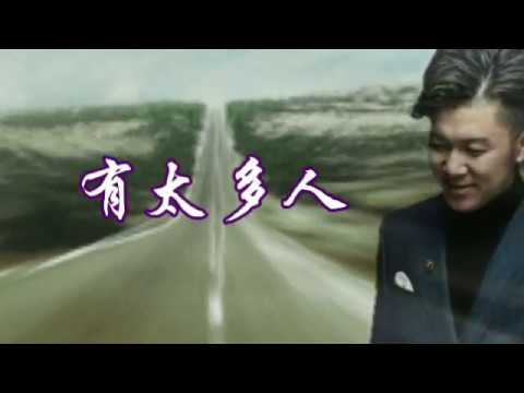 有太多人 -- 高进