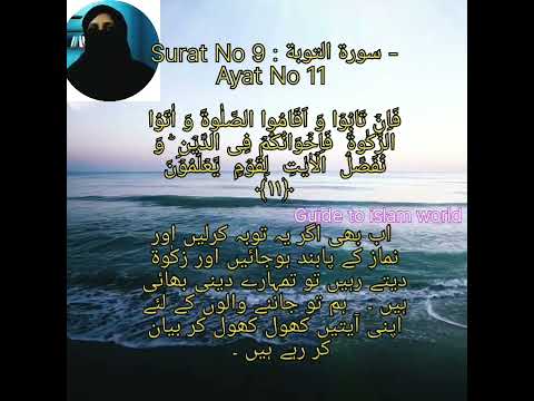 Surat No 9 : سورة التوبة - Ayat No 11 #shorts #showbizpakistan#shortvideo #shortsfeed#shortsyoutube