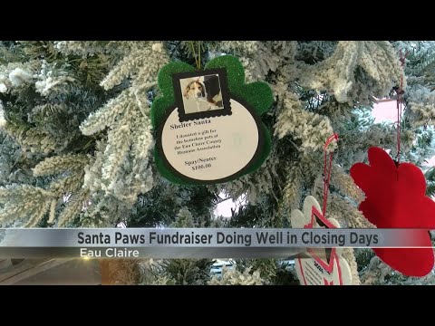 Eau Claire Community Humane Association's Santa Paws fundraiser doing well in closing days