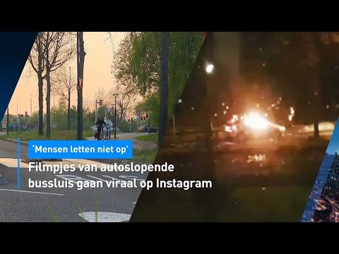 HOE DAN?! 😅 Filmpjes van autoslopende bussluis viraal op Instagram | Hart van Nederland 💙