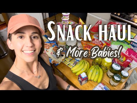 WEEKLY GROCERY HAUL For Snacks & Pantry Staples