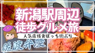 新潟駅周辺徒歩グルメ　初めての新潟女一人旅　肉汁かぶる【新潟旅前編】