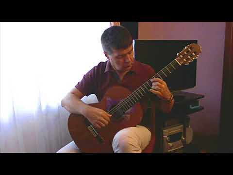 E. G. Baron. Lute Suite. Part 5: Le Drole (Шутка). Guitar V. Sharii.