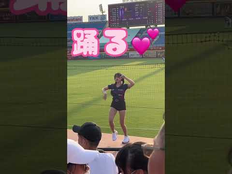 何を見に行ったかわからない台湾のプロ野球　#shorts #台湾旅行 #野球