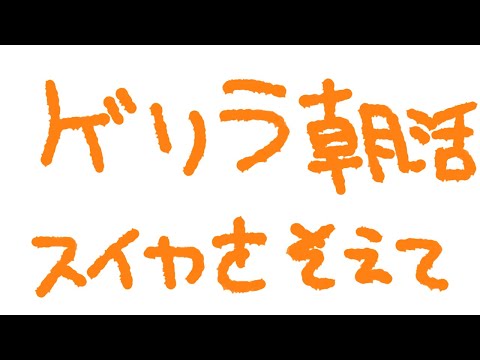 【初見さん大歓迎】おはよ！！ボクとスイカどっちが人気かな！？【プロプロ/火乃鳥めら】